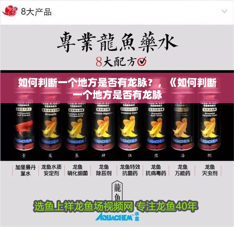 如何判斷一個地方是否有龍脈？，《如何判斷一個地方是否有龍脈