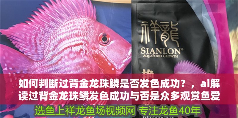 如何判斷過背金龍珠鱗是否發色成功？，ai解讀過背金龍珠鱗發色成功與否是眾多觀賞魚愛好者關注的重點 如何判斷過背金龍珠鱗是否發色成功？，ai解讀過背金龍珠鱗發色成功與否是眾多觀賞魚愛好者關注的重點 龍魚百科