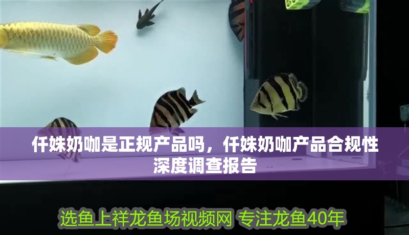 給大魚缸換水的作文:體驗給大魚缸換水的樂趣:體驗給大魚缸換水:給大魚缸換水的作文 仟姝奶咖是正規產品嗎,仟姝奶咖產品合規性深度調查報告 龍魚論壇 仟姝奶咖是正規產品嗎,仟姝奶咖產品合規性深度調查報告 仟姝奶咖是正規產品嗎,仟姝奶咖產品合規性深度調查報告 龍魚論壇