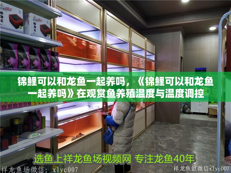 錦鯉可以和龍魚一起養(yǎng)嗎，《錦鯉可以和龍魚一起養(yǎng)嗎》在觀賞魚養(yǎng)殖溫度與溫度調(diào)控