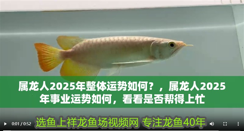 屬龍人2025年整體運勢如何？，屬龍人2025年事業運勢如何，看看是否幫得上忙