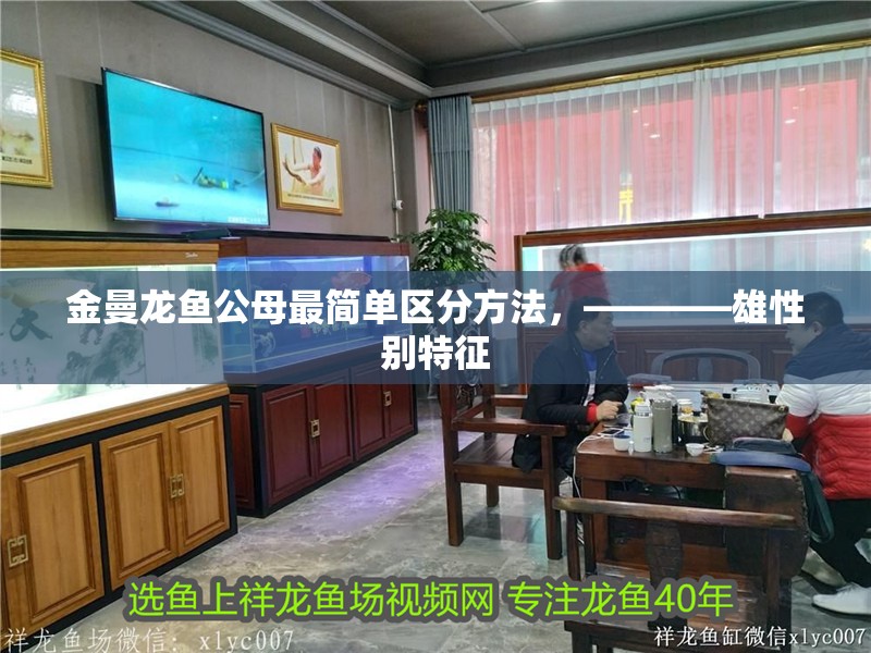 詳細閱讀:金曼龍魚公母最簡單區分方法,————雄性別特征 金曼龍魚公母最簡單區分方法,————雄性別特征