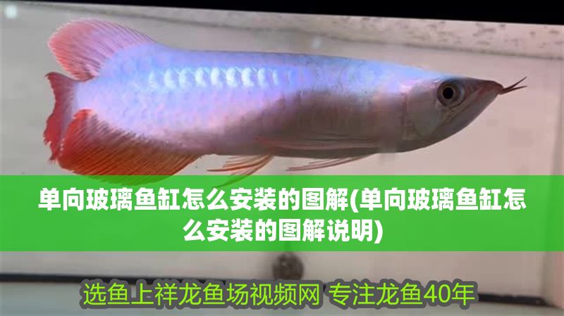 單向玻璃魚(yú)缸怎么安裝的圖解(單向玻璃魚(yú)缸怎么安裝的圖解說(shuō)明)