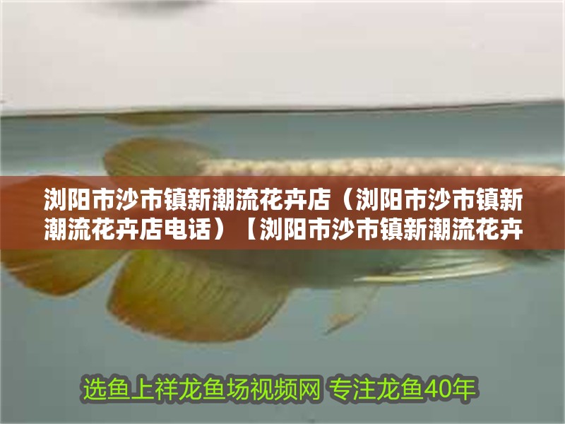 瀏陽市沙市鎮(zhèn)新潮流花卉店（瀏陽市沙市鎮(zhèn)新潮流花卉店電話）【瀏陽市沙市鎮(zhèn)新潮流花卉店】