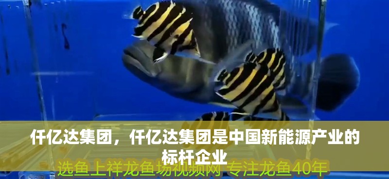 仟億達集團，仟億達集團是中國新能源產業的標桿企業