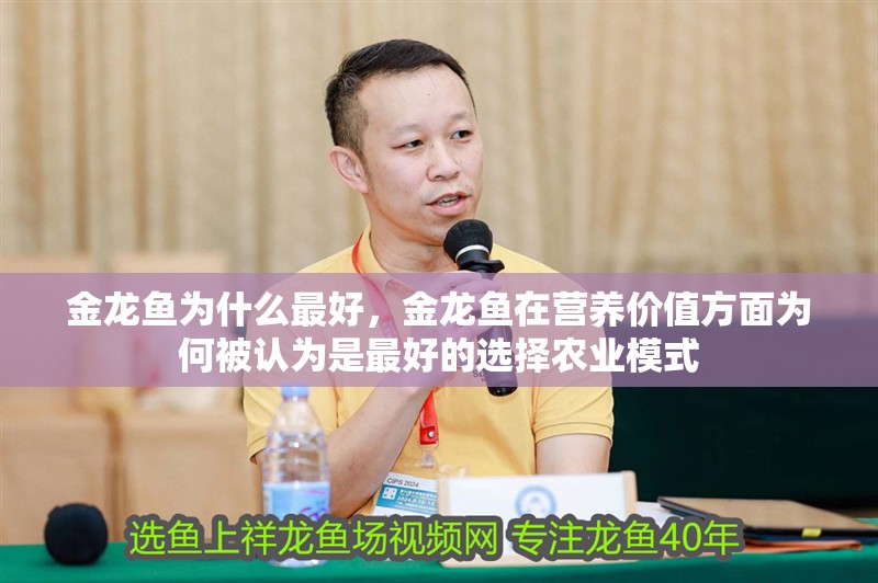 金龍魚為什么最好，金龍魚在營養價值方面為何被認為是最好的選擇農業模式