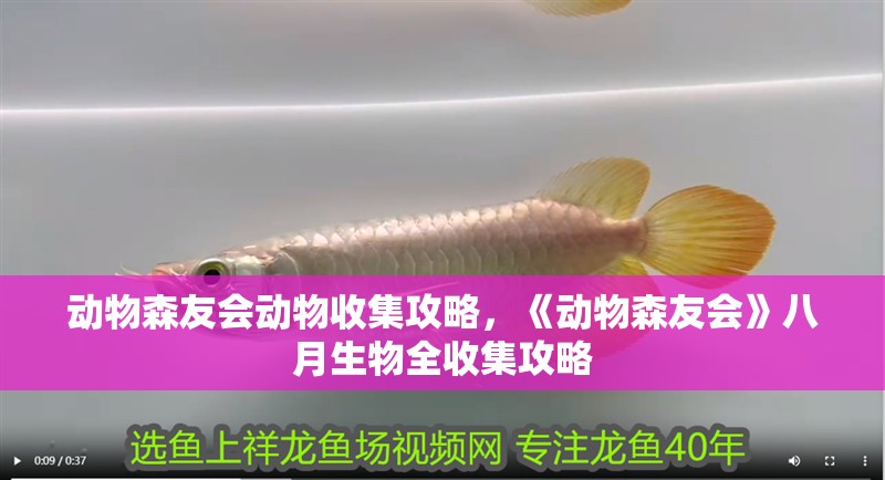 動物森友會動物收集攻略，《動物森友會》八月生物全收集攻略