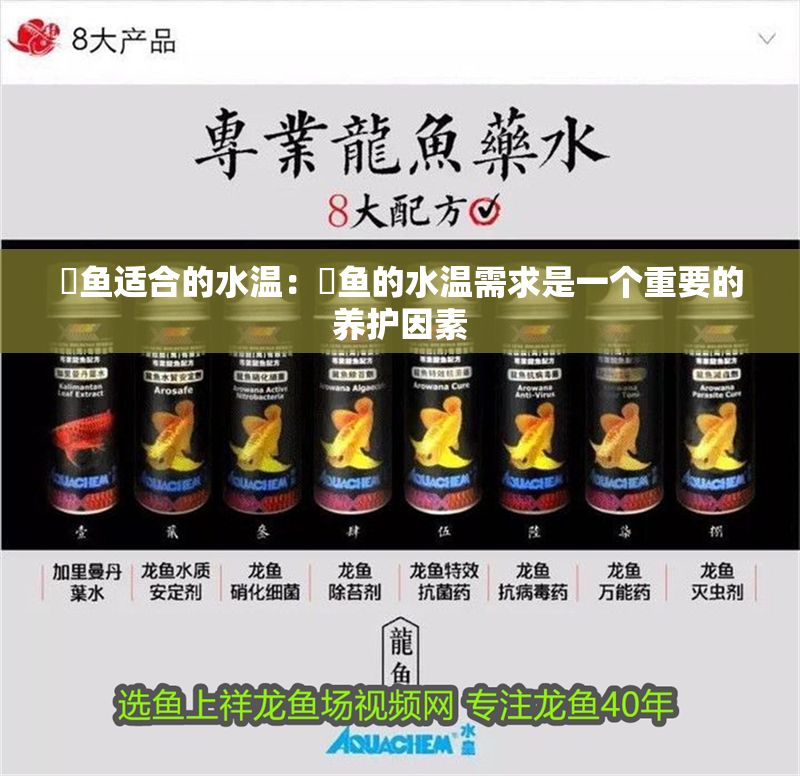 魟魚適合的水溫:魟魚的水溫需求是一個重要的養護因素 魟魚百科 第2張 魟魚適合的水溫:魟魚的水溫需求是一個重要的養護因素 魟魚適合的水溫:魟魚的水溫需求是一個重要的養護因素 魟魚百科 第2張