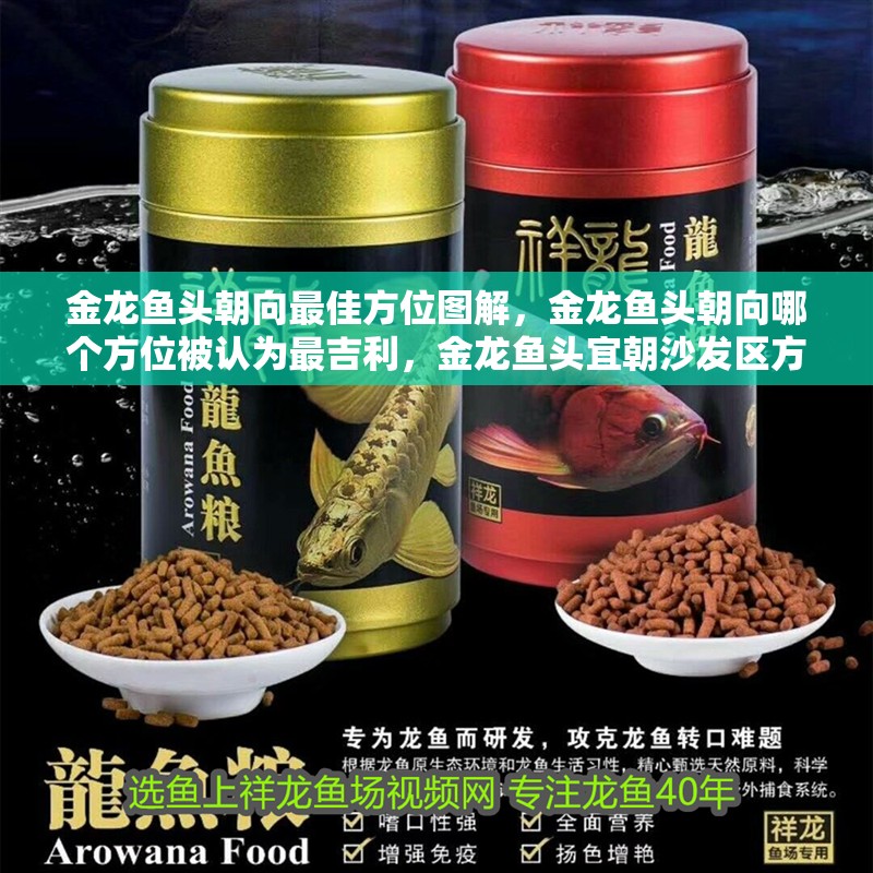 金龍魚頭朝向最佳方位圖解，金龍魚頭朝向哪個方位被認為最吉利，金龍魚頭宜朝沙發區方向