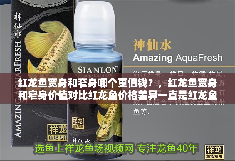 魚缸過濾器選購指南:自制魚缸過濾器魚缸上置過濾器對于養魚愛好者的必備知識 紅龍魚寬身和窄身哪個更值錢?,紅龍魚寬身和窄身價值對比紅龍魚價格差異一直是紅龍魚 龍魚百科 紅龍魚寬身和窄身哪個更值錢?,紅龍魚寬身和窄身價值對比紅龍魚價格差異一直是紅龍魚 紅龍魚寬身和窄身哪個更值錢?,紅龍魚寬身和窄身價值對比紅龍魚價格差異一直是紅龍魚 龍魚百科