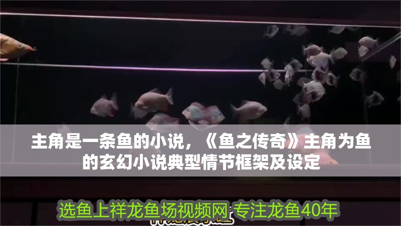 主角是一條魚的小說，《魚之傳奇》主角為魚的玄幻小說典型情節框架及設定
