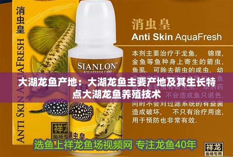 大湖龍魚產(chǎn)地：大湖龍魚主要產(chǎn)地及其生長特點(diǎn)大湖龍魚養(yǎng)殖技術(shù) 大湖龍魚產(chǎn)地：大湖龍魚主要產(chǎn)地及其生長特點(diǎn)大湖龍魚養(yǎng)殖技術(shù) 大湖紅龍魚百科 第2張