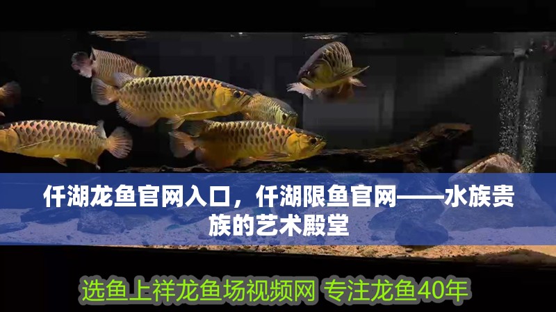 仟湖龍魚官網入口，仟湖限魚官網——水族貴族的藝術殿堂 仟湖龍魚官網入口，仟湖限魚官網——水族貴族的藝術殿堂 龍魚論壇