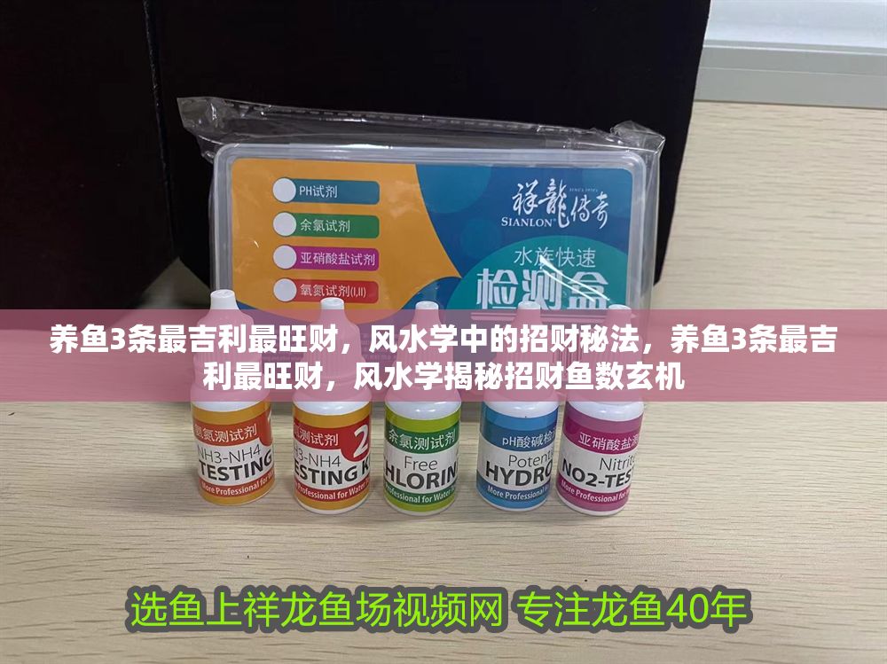 詳細閱讀:養(yǎng)魚3條最吉利最旺財,風(fēng)水學(xué)中的招財秘法,養(yǎng)魚3條最吉利最旺財,風(fēng)水學(xué)揭秘招財魚數(shù)玄機 養(yǎng)魚3條最吉利最旺財,風(fēng)水學(xué)中的招財秘法,養(yǎng)魚3條最吉利最旺財,風(fēng)水學(xué)揭秘招財魚數(shù)玄機