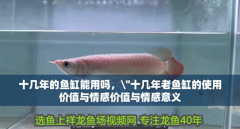 十幾年的魚缸能用嗎，\