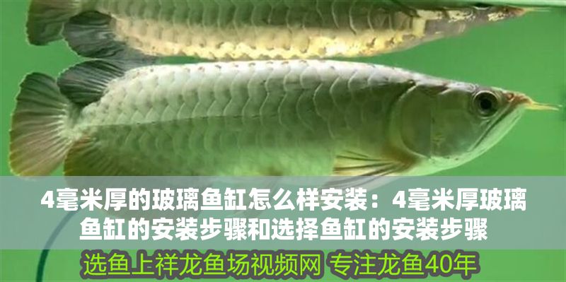 4毫米厚的玻璃魚缸怎么樣安裝：4毫米厚玻璃魚缸的安裝步驟和選擇魚缸的安裝步驟