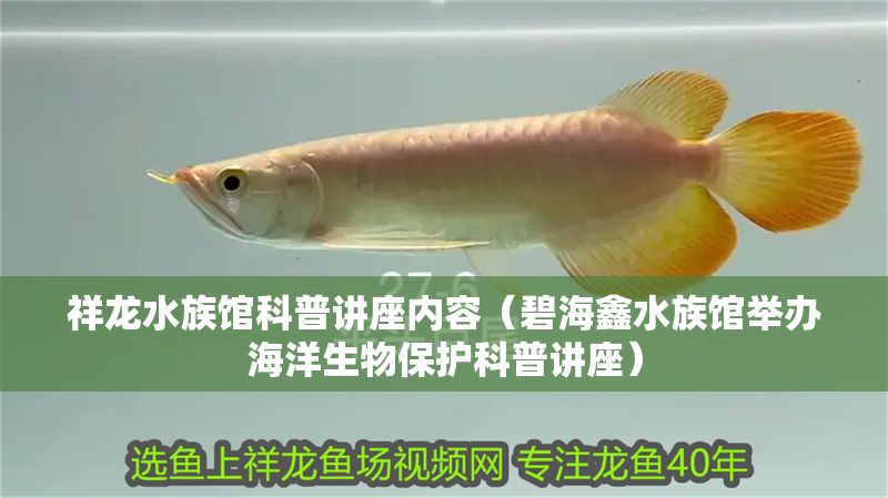 祥龍水族館科普講座內容（碧海鑫水族館舉辦海洋生物保護科普講座）