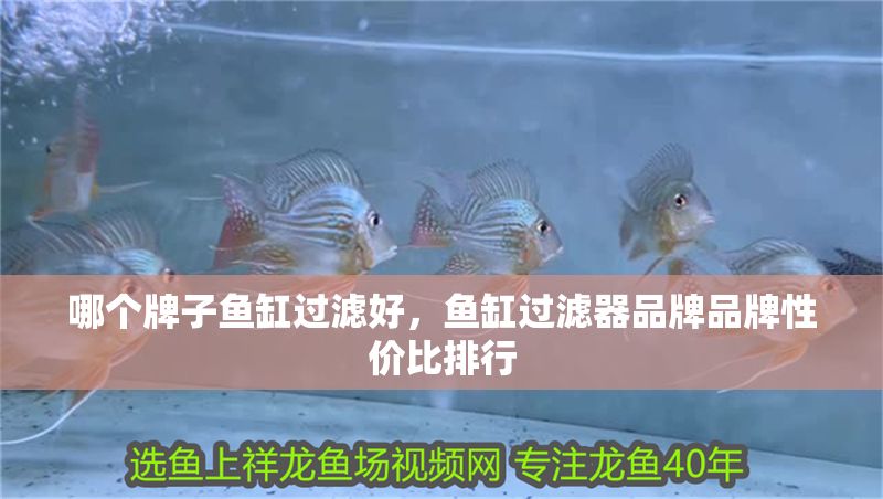 哪個牌子魚缸過濾好，魚缸過濾器品牌品牌性價比排行
