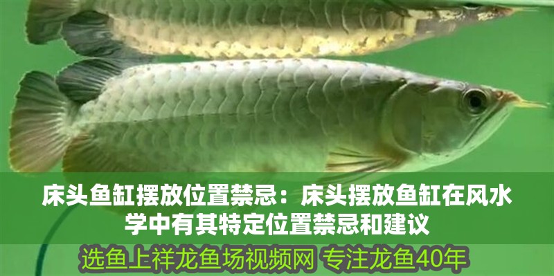 床頭魚缸擺放位置禁忌：床頭擺放魚缸在風水學中有其特定位置禁忌和建議