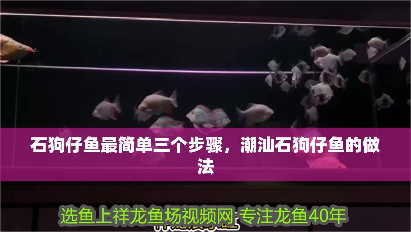 石狗仔魚最簡單三個步驟，潮汕石狗仔魚的做法