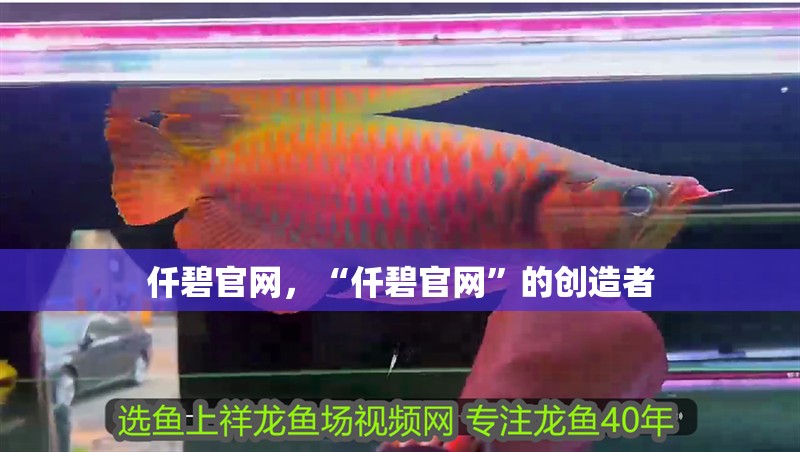鸚鵡魚和銀龍魚混養怎樣喂食 仟碧官網,“仟碧官網”的創造者 龍魚論壇 仟碧官網,“仟碧官網”的創造者 仟碧官網,“仟碧官網”的創造者 龍魚論壇