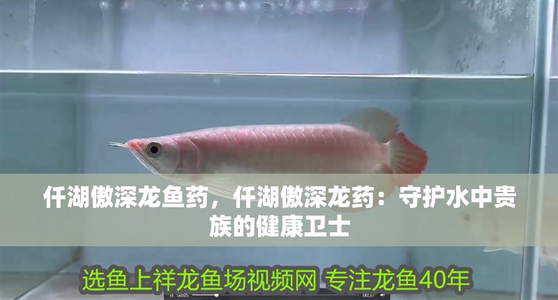 仟湖傲深龍魚藥，仟湖傲深龍藥：守護水中貴族的健康衛(wèi)士
