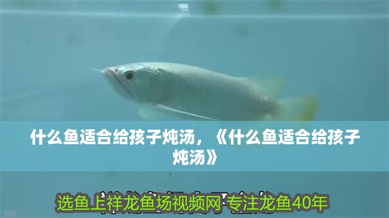 詳細閱讀:什么魚適合給孩子燉湯,《什么魚適合給孩子燉湯》 什么魚適合給孩子燉湯,《什么魚適合給孩子燉湯》