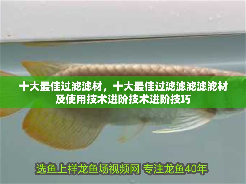 十大最佳過濾濾材，十大最佳過濾濾濾濾濾材及使用技術(shù)進(jìn)階技術(shù)進(jìn)階技巧