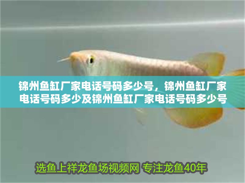 錦州魚缸廠家電話號(hào)碼多少號(hào)，錦州魚缸廠家電話號(hào)碼多少及錦州魚缸廠家電話號(hào)碼多少號(hào)摘要