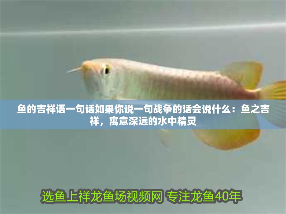 魚的吉祥語一句話如果你說一句戰(zhàn)爭的話會說什么：魚之吉祥，寓意深遠(yuǎn)的水中精靈