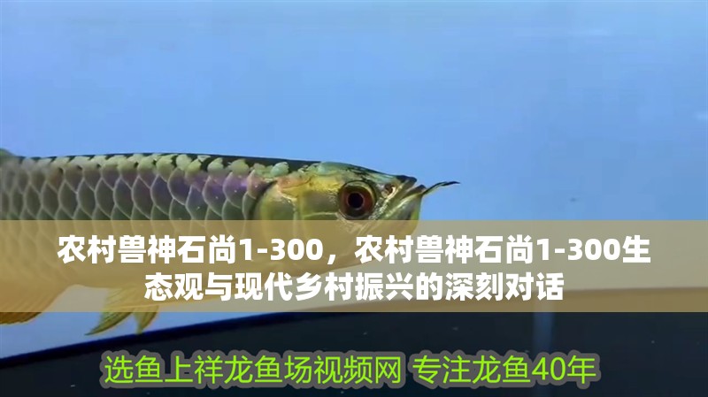 農村獸神石尚1-300，農村獸神石尚1-300生態觀與現代鄉村振興的深刻對話