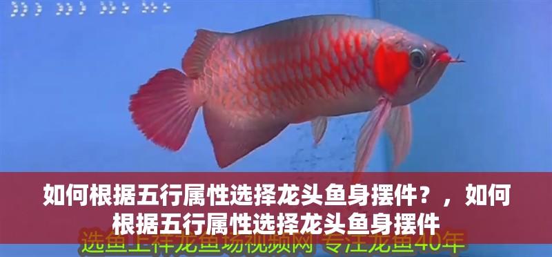 如何根據(jù)五行屬性選擇龍頭魚身擺件？，如何根據(jù)五行屬性選擇龍頭魚身擺件