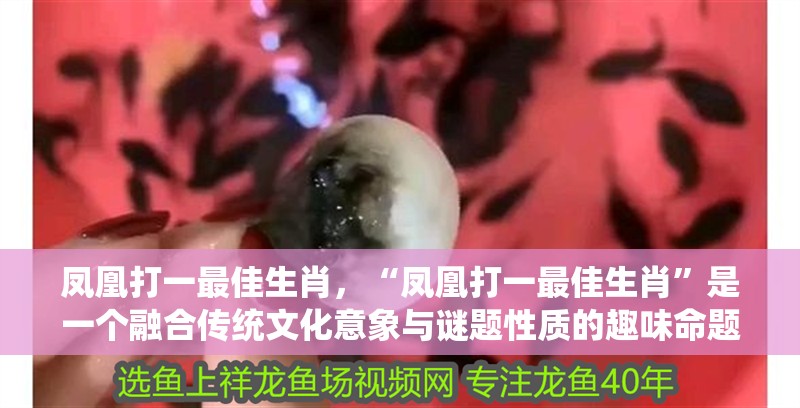 鳳凰打一最佳生肖，“鳳凰打一最佳生肖”是一個(gè)融合傳統(tǒng)文化意象與謎題性質(zhì)的趣味命題