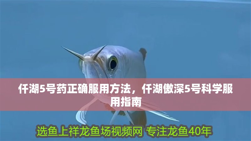 仟湖5號藥正確服用方法，仟湖傲深5號科學服用指南