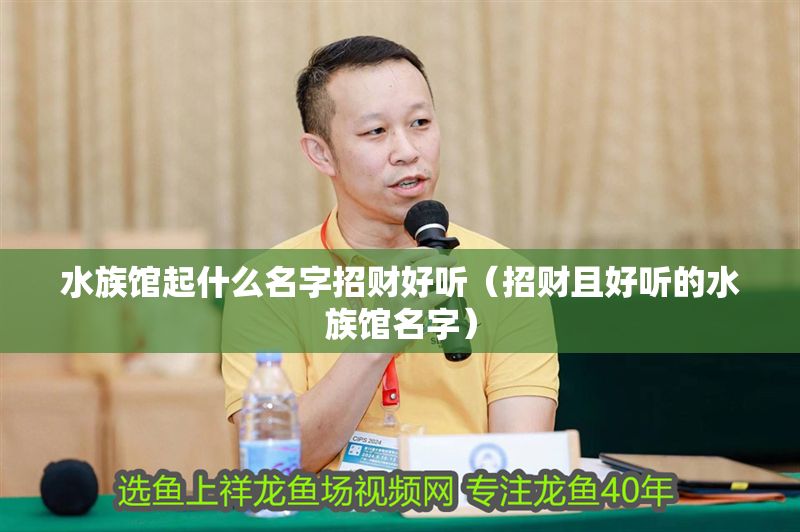 水族館起什么名字招財(cái)好聽(tīng)（招財(cái)且好聽(tīng)的水族館名字）