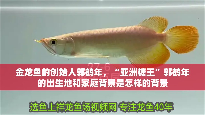 金龍魚的創(chuàng)始人郭鶴年，“亞洲糖王”郭鶴年的出生地和家庭背景是怎樣的背景
