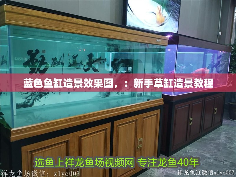 藍色魚缸造景效果圖，：新手草缸造景教程 藍色魚缸造景效果圖，：新手草缸造景教程 魚缸百科