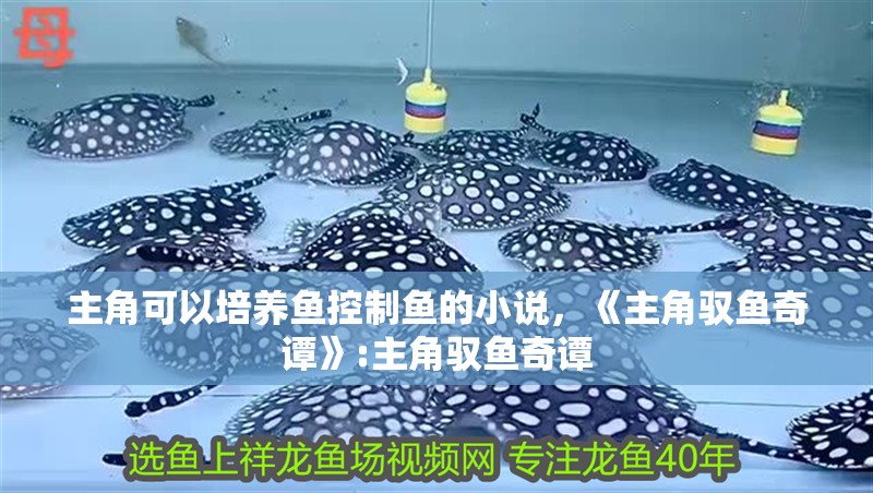 主角可以培養(yǎng)魚控制魚的小說，《主角馭魚奇譚》:主角馭魚奇譚