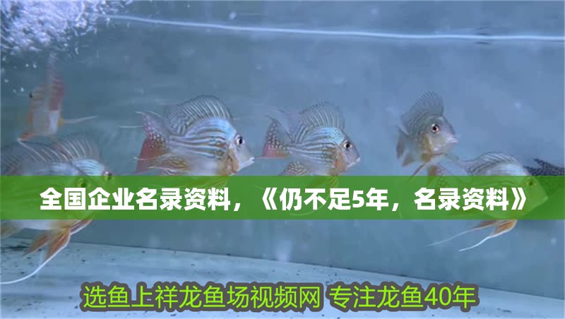全國企業名錄資料，《仍不足5年，名錄資料》