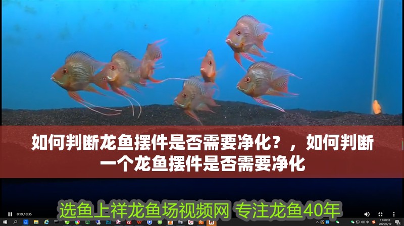 如何判斷龍魚擺件是否需要凈化？，如何判斷一個龍魚擺件是否需要凈化
