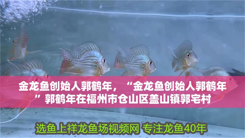 金龍魚創始人郭鶴年，“金龍魚創始人郭鶴年”郭鶴年在福州市倉山區蓋山鎮郭宅村