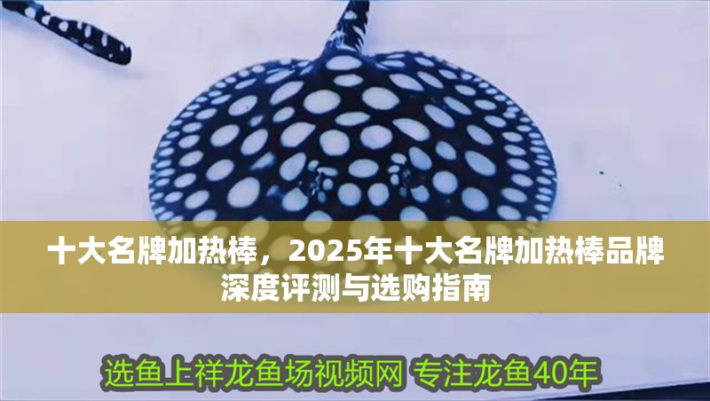 十大名牌加熱棒，2025年十大名牌加熱棒品牌深度評測與選購指南