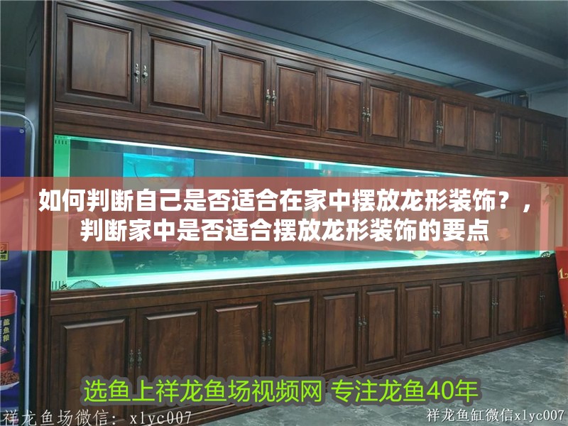 如何判斷自己是否適合在家中擺放龍形裝飾？，判斷家中是否適合擺放龍形裝飾的要點(diǎn)