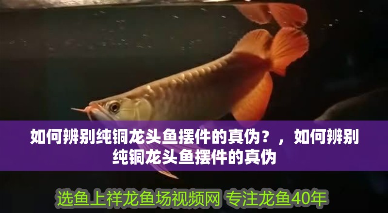 如何辨別純銅龍頭魚擺件的真偽？，如何辨別純銅龍頭魚擺件的真偽