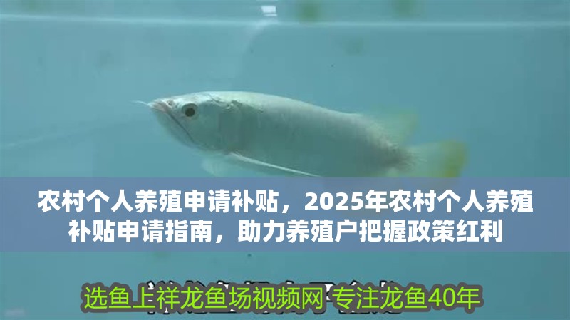 農村個人養殖申請補貼，2025年農村個人養殖補貼申請指南，助力養殖戶把握政策紅利