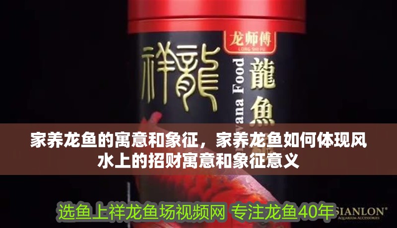 家養龍魚的寓意和象征，家養龍魚如何體現風水上的招財寓意和象征意義 家養龍魚的寓意和象征，家養龍魚如何體現風水上的招財寓意和象征意義 水族問答