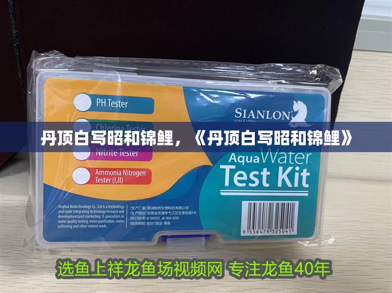 丹頂白寫昭和錦鯉，《丹頂白寫昭和錦鯉》