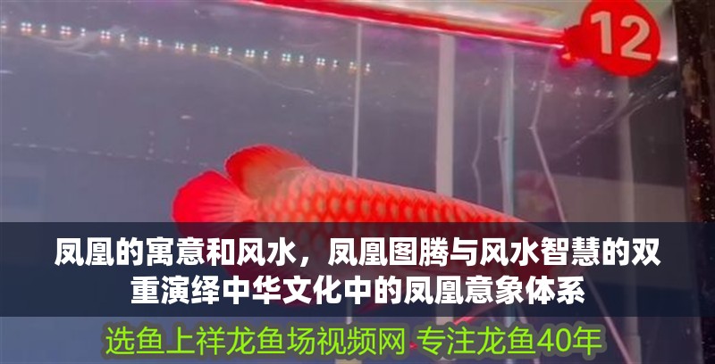 鳳凰的寓意和風水，鳳凰圖騰與風水智慧的雙重演繹中華文化中的鳳凰意象體系 鳳凰的寓意和風水，鳳凰圖騰與風水智慧的雙重演繹中華文化中的鳳凰意象體系 龍魚論壇