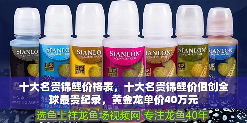 十大名貴錦鯉價格表，十大名貴錦鯉價值創全球最貴紀錄，黃金龍單價40萬元
