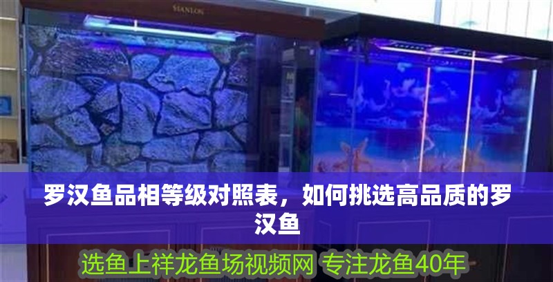 羅漢魚品相等級對照表，如何挑選高品質的羅漢魚